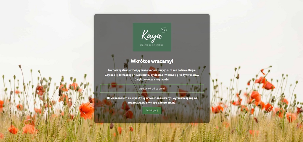 Minimal Coming Soon & Maintenance Mode: przykładowa strona w budowie